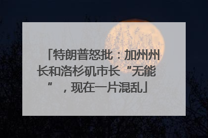 特朗普怒批：加州州长和洛杉矶市长“无能”，现在一片混乱