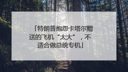 特朗普抱怨卡塔尔赠送的飞机“太大”，不适合做总统专机