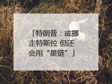 特朗普：或挪走特斯拉 但还会用“星链”