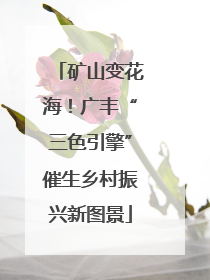 矿山变花海！广丰“三色引擎”催生乡村振兴新图景