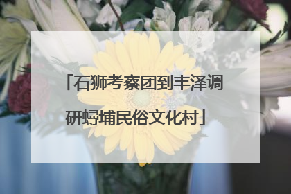 石狮考察团到丰泽调研蟳埔民俗文化村