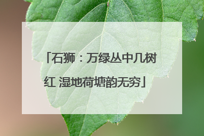 石狮：万绿丛中几树红 湿地荷塘韵无穷