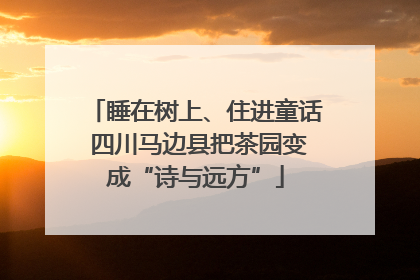睡在树上、住进童话 四川马边县把茶园变成“诗与远方”