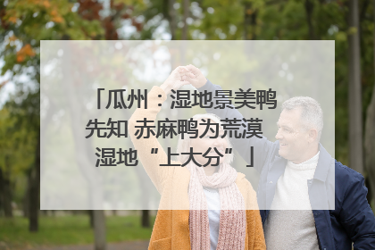 瓜州：湿地景美鸭先知 赤麻鸭为荒漠湿地“上大分”