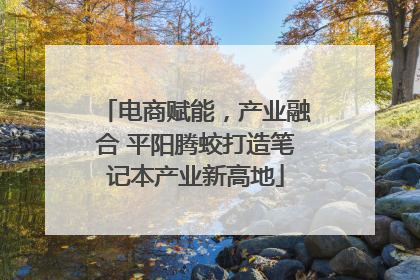 电商赋能，产业融合 平阳腾蛟打造笔记本产业新高地