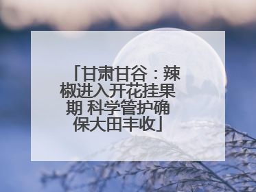甘肃甘谷：辣椒进入开花挂果期 科学管护确保大田丰收