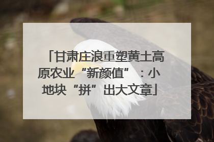 甘肃庄浪重塑黄土高原农业“新颜值”：小地块“拼”出大文章