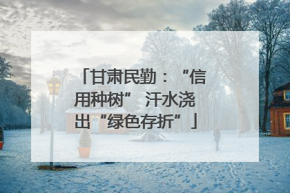 甘肃民勤：“信用种树” 汗水浇出“绿色存折”
