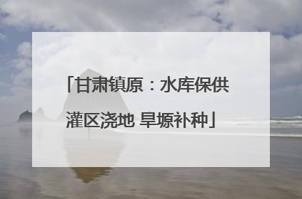 甘肃镇原：水库保供 灌区浇地 旱塬补种