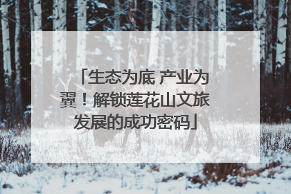 生态为底 产业为翼！解锁莲花山文旅发展的成功密码