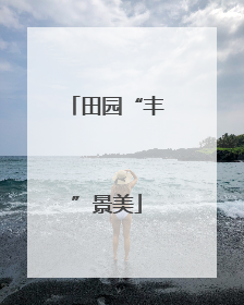 田园“丰”景美