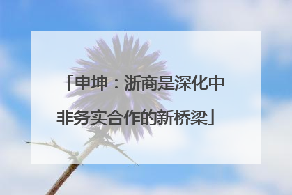 申坤：浙商是深化中非务实合作的新桥梁