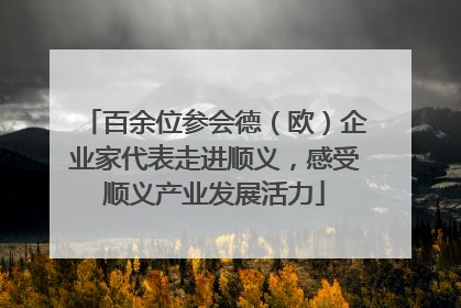 百余位参会德（欧）企业家代表走进顺义，感受顺义产业发展活力