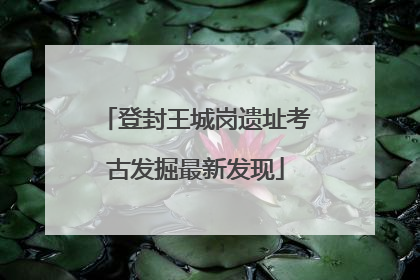 登封王城岗遗址考古发掘最新发现