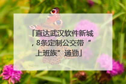 直达武汉软件新城，8条定制公交带“上班族”通勤