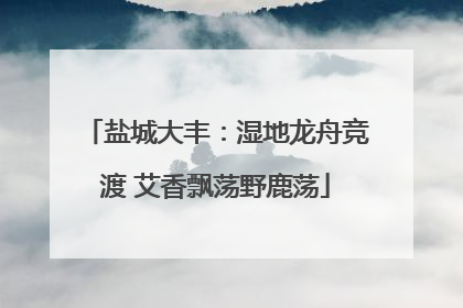 盐城大丰：湿地龙舟竞渡 艾香飘荡野鹿荡