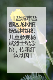 盐城市盐都区龙冈镇杨斌村组织儿童参观杨斌烈士纪念馆，传承红色基因