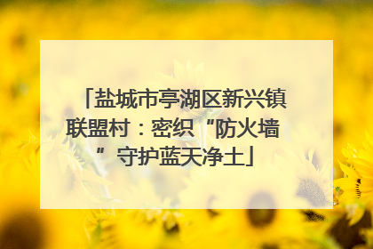 盐城市亭湖区新兴镇联盟村：密织“防火墙”守护蓝天净土