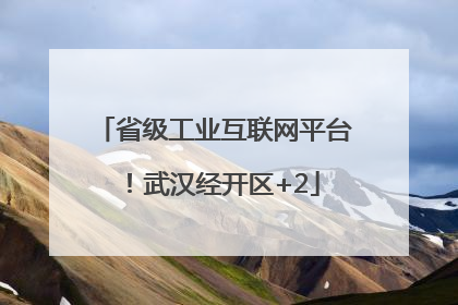 省级工业互联网平台！武汉经开区+2