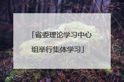 省委理论学习中心组举行集体学习