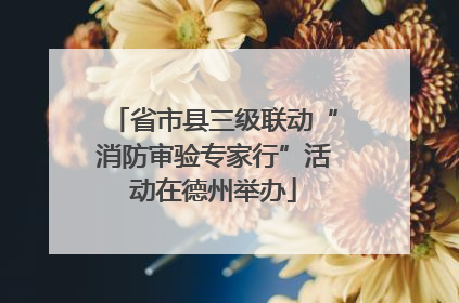 省市县三级联动“消防审验专家行”活动在德州举办