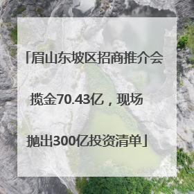眉山东坡区招商推介会揽金70.43亿，现场抛出300亿投资清单