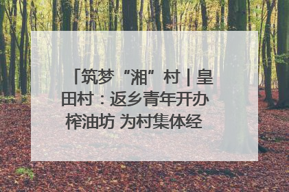 筑梦“湘”村｜皇田村：返乡青年开办榨油坊 为村集体经济“加油”