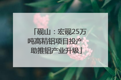 砚山：宏砚25万吨高精铝项目投产 助推铝产业升级