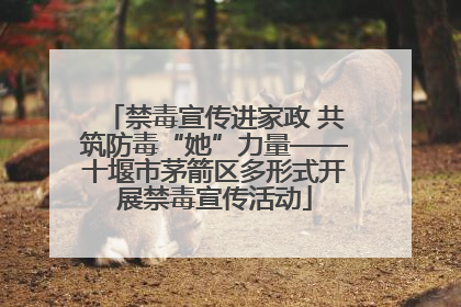禁毒宣传进家政 共筑防毒“她”力量——十堰市茅箭区多形式开展禁毒宣传活动