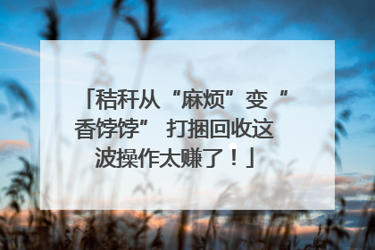 秸秆从“麻烦”变“香饽饽” 打捆回收这波操作太赚了！