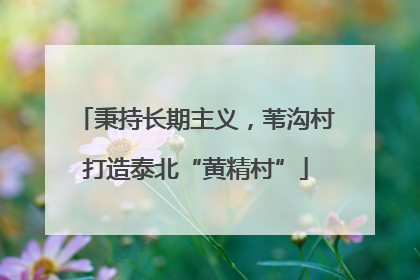秉持长期主义，苇沟村打造泰北“黄精村”