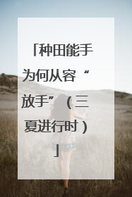 种田能手为何从容“放手”（三夏进行时）