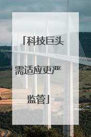 科技巨头需适应更严监管