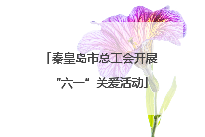秦皇岛市总工会开展“六一”关爱活动