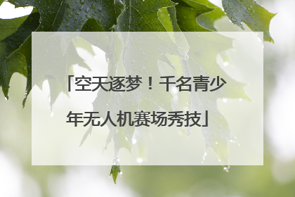 空天逐梦!千名青少年无人机赛场秀技