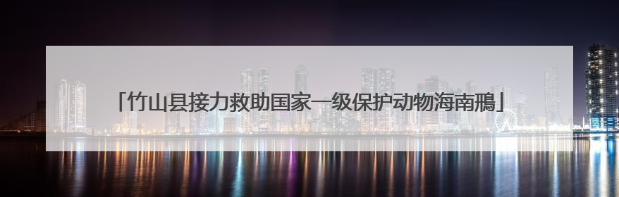 竹山县接力救助国家一级保护动物海南鳽
