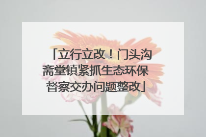 立行立改！门头沟斋堂镇紧抓生态环保督察交办问题整改