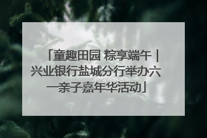 童趣田园 粽享端午｜兴业银行盐城分行举办六一亲子嘉年华活动