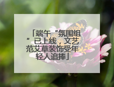 端午“氛围组”已上线，文艺范艾草装饰受年轻人追捧