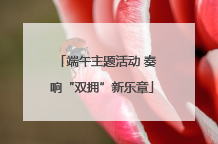 端午主题活动 奏响“双拥”新乐章