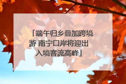 端午归乡叠加跨境游 南宁口岸将迎出入境客流高峰