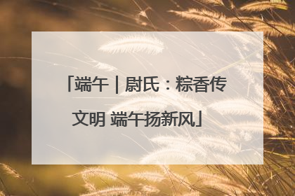 端午｜尉氏：粽香传文明 端午扬新风