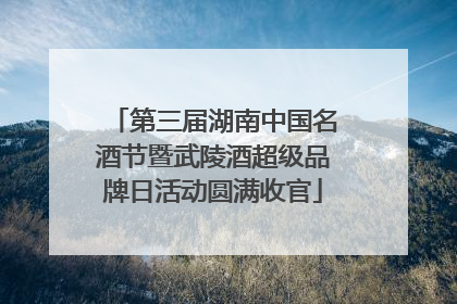 第三届湖南中国名酒节暨武陵酒超级品牌日活动圆满收官
