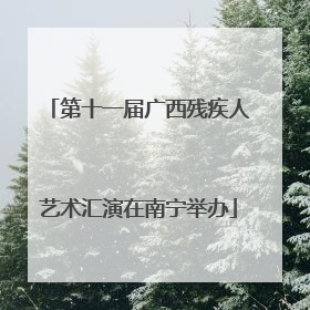 第十一届广西残疾人艺术汇演在南宁举办