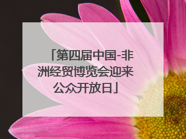 第四届中国-非洲经贸博览会迎来公众开放日