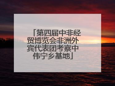第四届中非经贸博览会非洲外宾代表团考察中伟宁乡基地