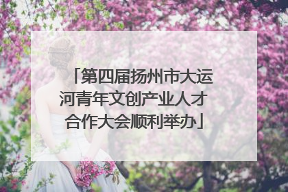 第四届扬州市大运河青年文创产业人才合作大会顺利举办