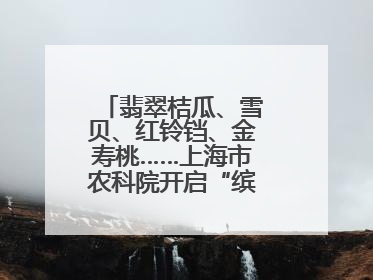翡翠桔瓜、雪贝、红铃铛、金寿桃……上海市农科院开启“缤纷蔬菜之约”