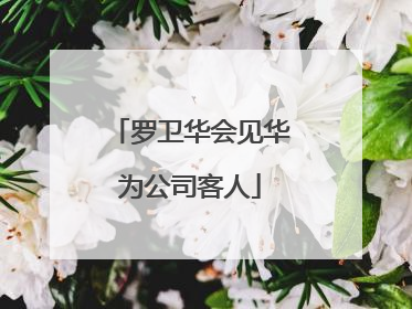 罗卫华会见华为公司客人