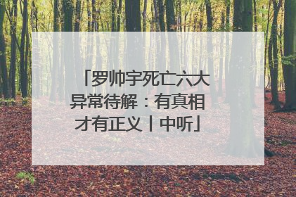 罗帅宇死亡六大异常待解：有真相才有正义丨中听